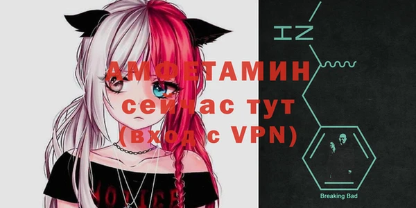 спиды Магас