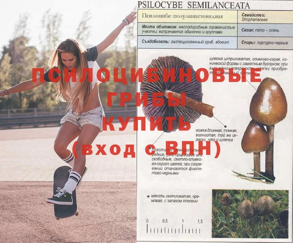 apvp Майский