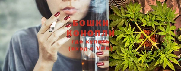 спиды Магас