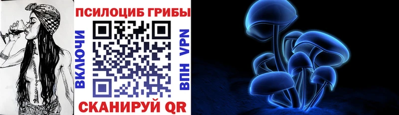 Псилоцибиновые грибы мицелий Спас-Деменск